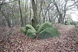 Die Großsteingräber Werpeloh IV (hinten) und V (vorne)
