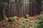 Großsteingrab Wietzetze 3