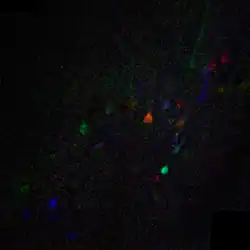 Die räumlichen Faktoren können auch räumlich überlagert dargestellt werden (hier als Farbkanäle eines RGB-Bildes), um die Neuronen visuell in funktional ähnliche Klassen einzuteilen