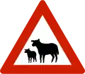 Schafe