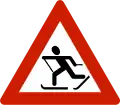 Skifahrer