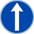 Vorgeschriebene Fahrtrichtung – geradeaus