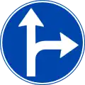 Vorgeschriebene Fahrtrichtung – geradeaus und rechts