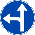 Vorgeschriebene Fahrtrichtung – geradeaus und links
