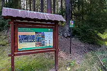 Pluhův bor