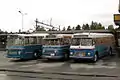Oldtimer-Busse (2004)