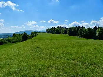 Naturschutzgebiet Östlicher Langenberg