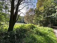 Landschaftsmosaik aus  Wald, Feuchtgrünland und Hochstaudenflur