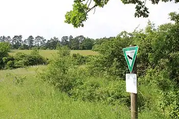 Brachenleite bei Tauberbischofsheim