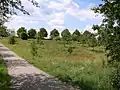 Streuobstwiese im Nordwesten des NSG