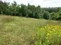 Magerrasenfläche am Südwesthang der Kuppe