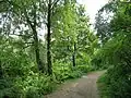 Spazierweg durch das Schutzgebiet