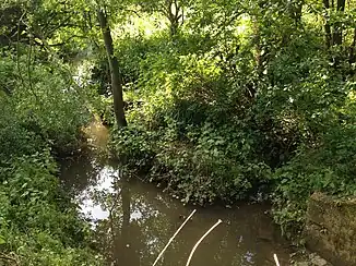 Rosendeller Bach am östlichen Rand des NSG
