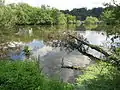 Flachwasserbereich