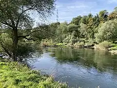 Vogelparadies an der Ostseite der Ruhrschleife