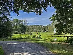 Blick in die Weiden der "Auerochsen" (Heckrinder)