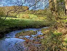 naturnaher Bachlauf
