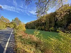 Sprockhöveler Bach ist an den Waldrand gewechselt - in der Wiese bildet sich ein Quellgewässer aus