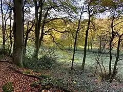 Feuchtwiese mit Sprockhöveler Bach