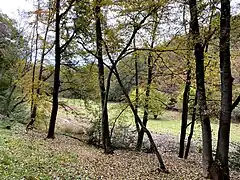 Ufergehölze begleiten den Hasper Bach