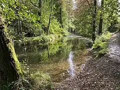 Eifgenbach in Odenthal