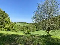 Farrenbracker Bachtal