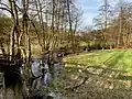 Felderbach fließt naturnah – begleitet von Ufergehölzen