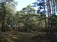 Das Naturschutzgebiet bei Kraupa