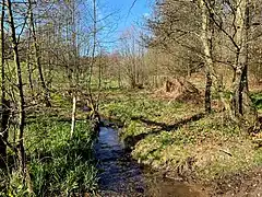 Freebach-Mittelauf