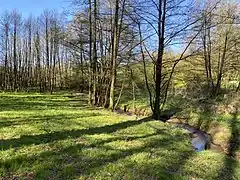 Freebach-Unterlauf
