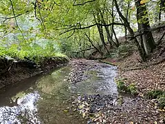 Weidener Bach im NSG
