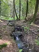 Oberlauf des Harthbaches am nördl. Beginn des NSG