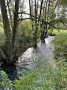 Neye II - begleitet von Ufergehölzen