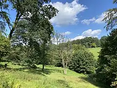 Mausbachtal mit parkähnlichem Charakter