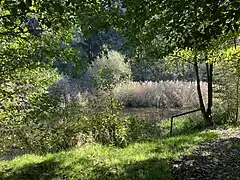 Naturnaher Angelteich bei Sprinnerwiese