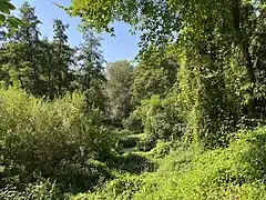 Landschaftsmosaik im Bereich NSG Dernkamp