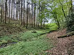 Buschfelder Siefen nahe der Quelle