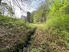 Buschfelder Siefen