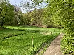 Feuchtwiesen im Zentrum des NSG