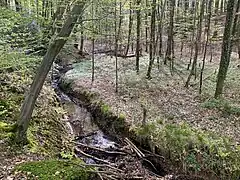 Wersbach im östlichen Teil des NSG