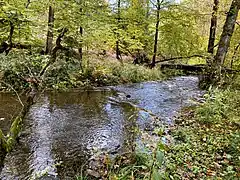 Hasper Bach nahe Einmündung Hemker Bach