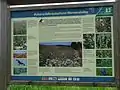 Infotafel zum Ackerwildkrautschutz auf der Wernershöhe