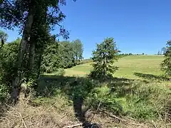 Bachtal der Hönnige im NSG