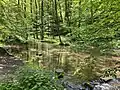 Naturschutzgebiet Herbringhauser Bachtal