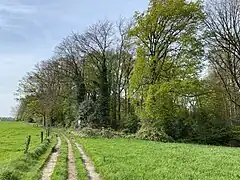 Wanderweg am nördl. Eingang zum NSG