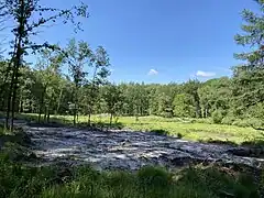 Abgeplaggter Bereich zur Regeneration des Heidemoors