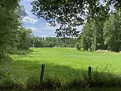 Landschaftsmosaik aus  Grünflächen und Wald