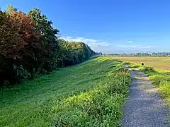 Blütenreicher Deich im Süden