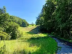 Landschaftsmosaik  am westlichen Hang