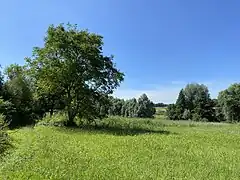 Hubbelrather Bachtal